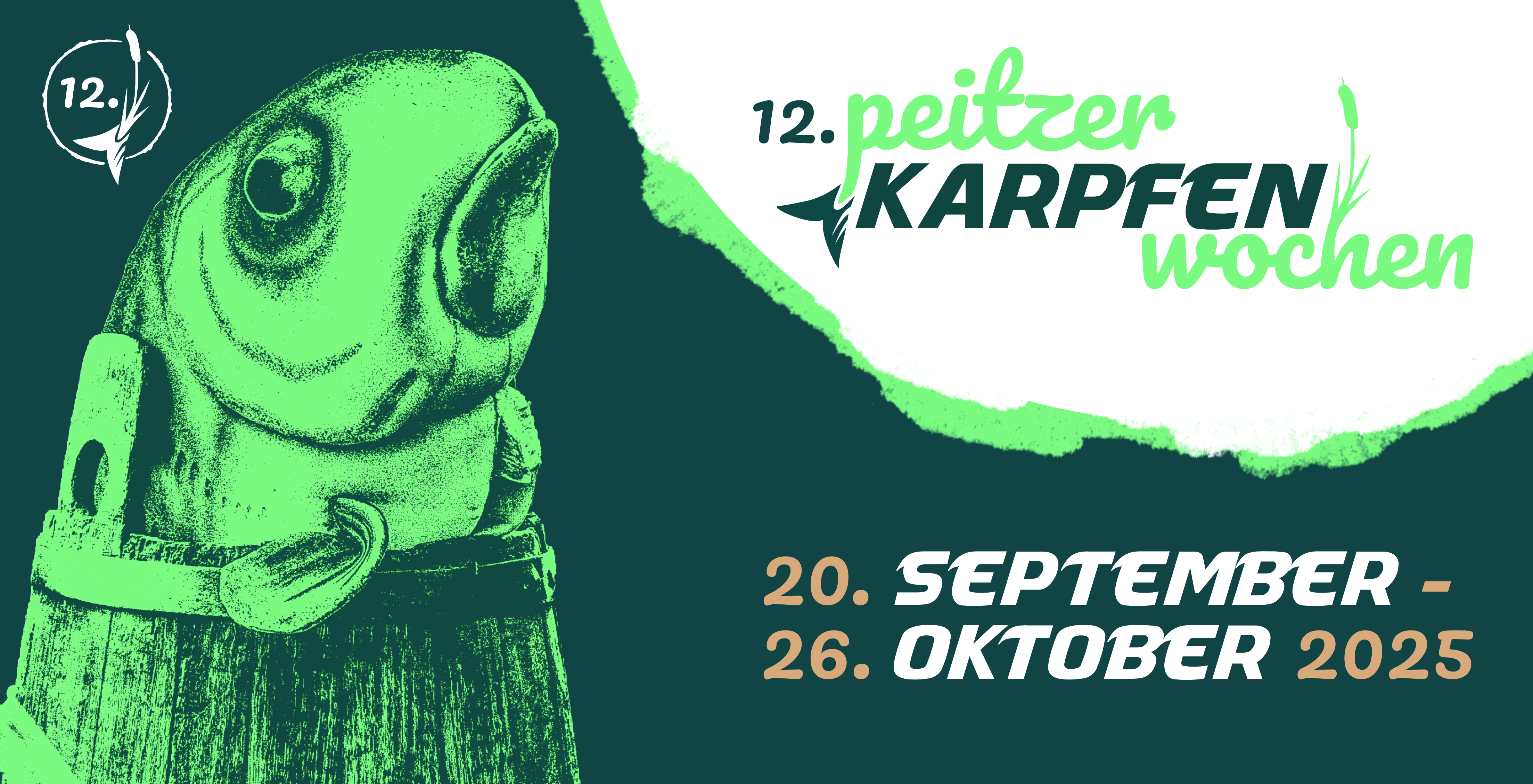 aktueller Flyer
