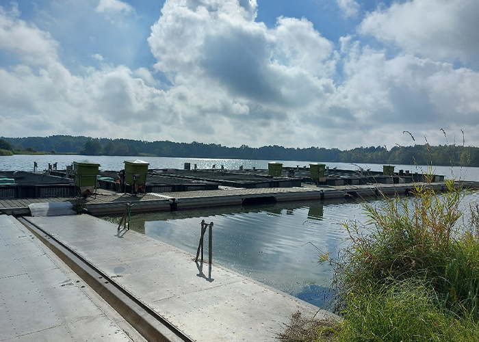 Peitzer Edelfisch Teich-in-Teich Anlage Petkampsberg
